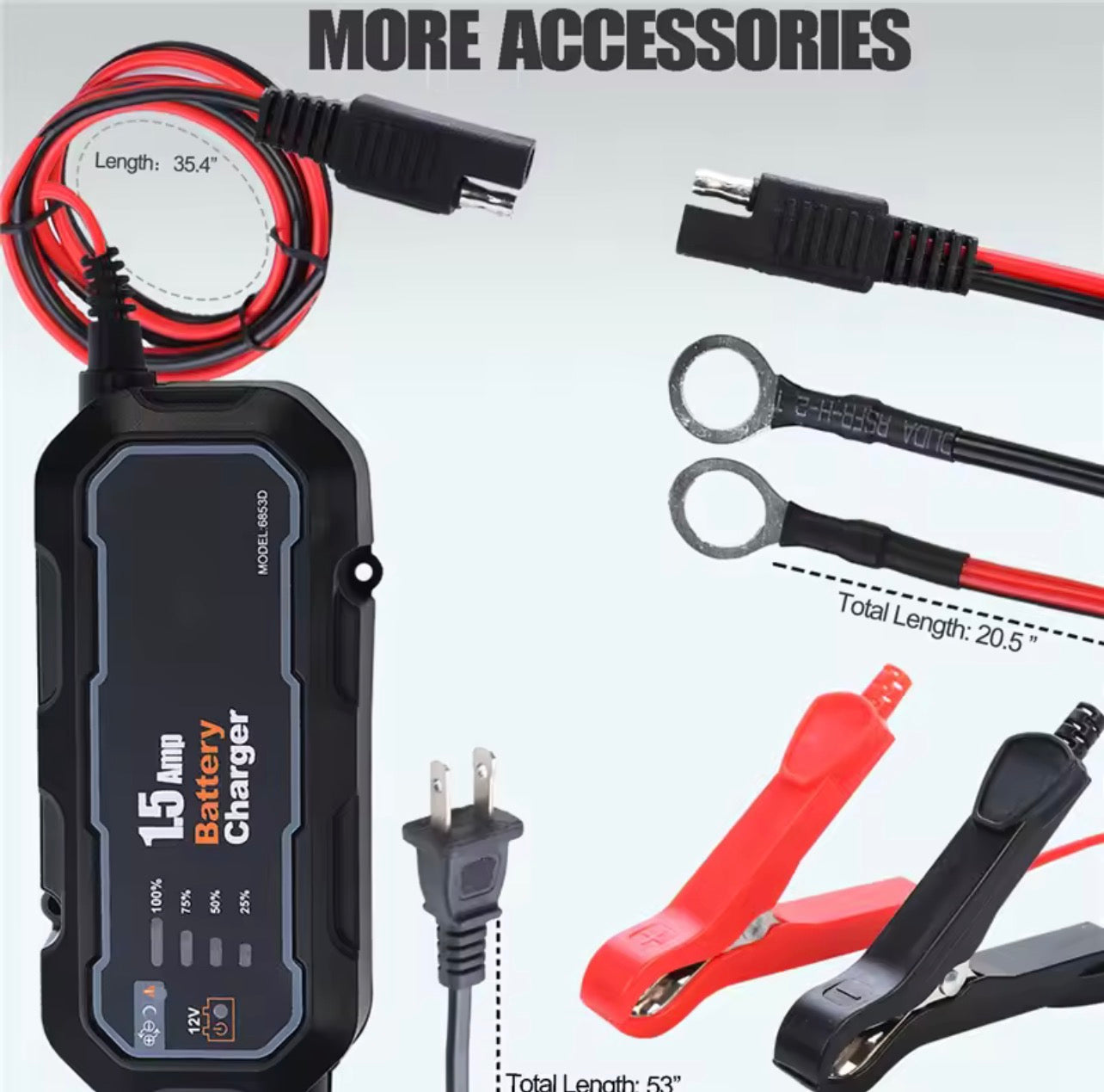 Smart battery maintainer