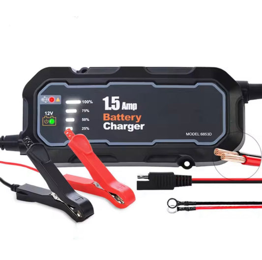 Smart battery maintainer