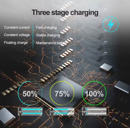 Smart battery maintainer