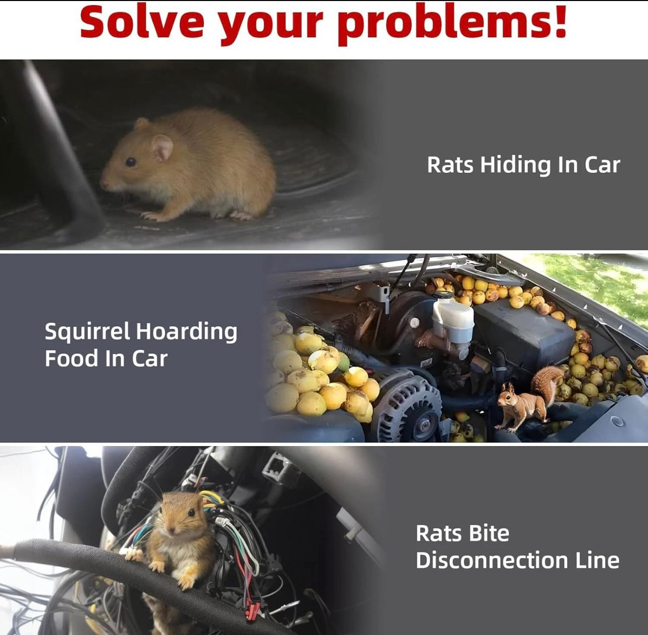 12V Car Ultrasonic Rat & Rodent Repellent — Marten, Mouse, and Pest Control Device for Vehicles